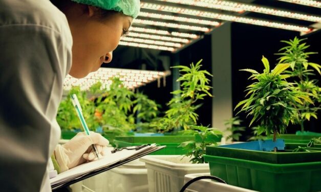 LAS PROPIEDADES MEDICINALES DEL CANNABIS Y SU POTENCIAL EN COSTA RICA