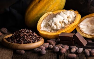 EL CULTIVO DE CACAO EN COSTA RICA: ¨TRADICIÓN, SOSTENIBILIDAD Y EXCELENCIA EN CALIDAD¨