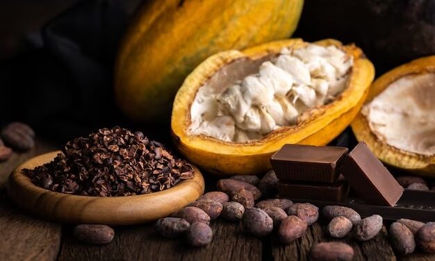 EL CULTIVO DE CACAO EN COSTA RICA: ¨TRADICIÓN, SOSTENIBILIDAD Y EXCELENCIA EN CALIDAD¨