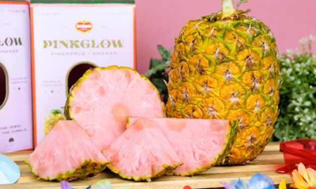 EL CULTIVO DE LA PIÑA ROSADA DE EXPORTACIÓN EN COSTA RICA ES UN TEROSO DE SABOR DULCE