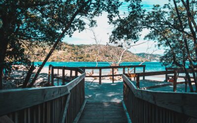 PLAYA NACASCOLO UBICADA EN COSTA RICA ES UN PARAISO NATURAL QUE CAUTIVA A LOS AMANTES DE LA PLAYA