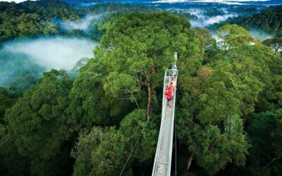 MONTEVERDE UN TEROSO NATURAL EN LAS ALTURAS DE LA NUBOSELVA DE COSTA RICA