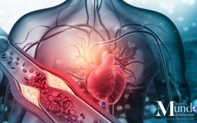 COMO PREVENIR LAS ENFERMEDADES DEL SISTEMA CIRCULATORIO, SUS CAUSAS Y CONSECUENCIAS